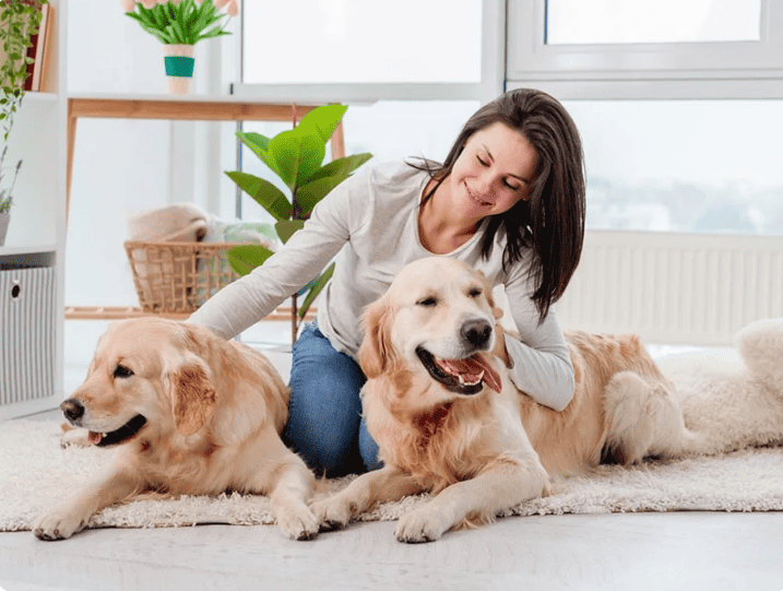 Read more about the article How to get insurance for pets in India